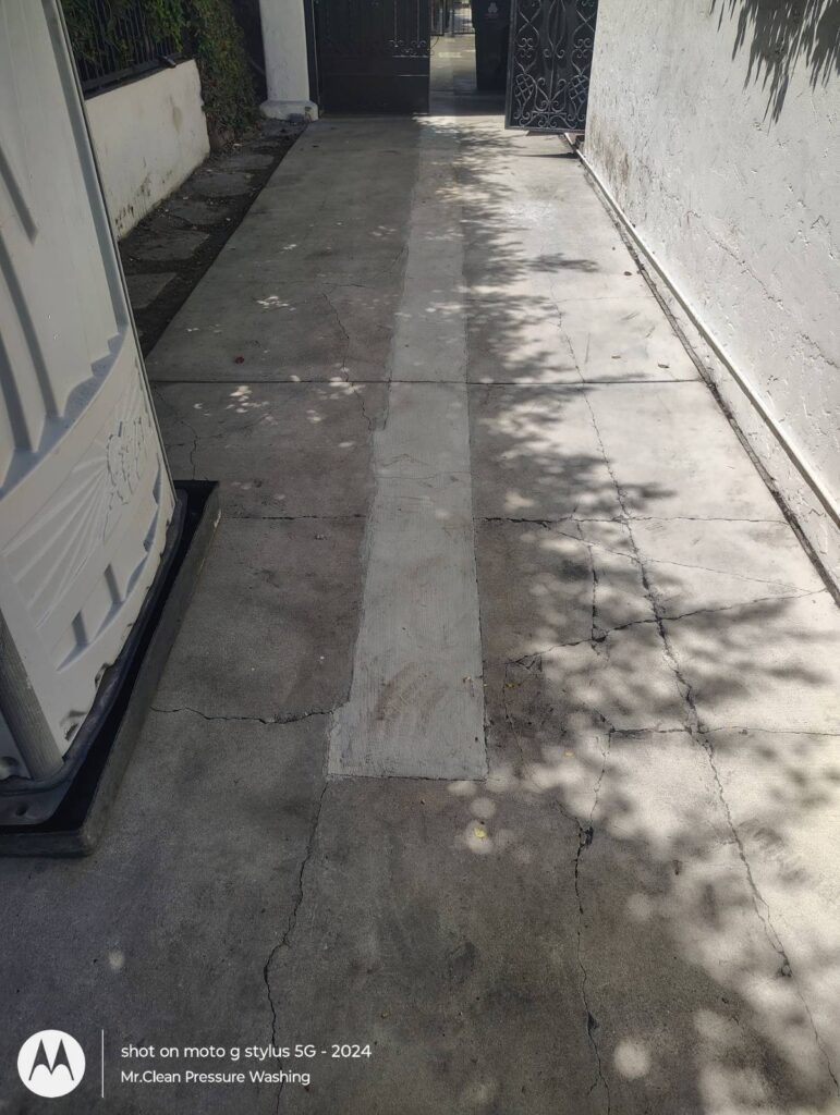Before Driveway Cleaning in Los Angeles, CA
