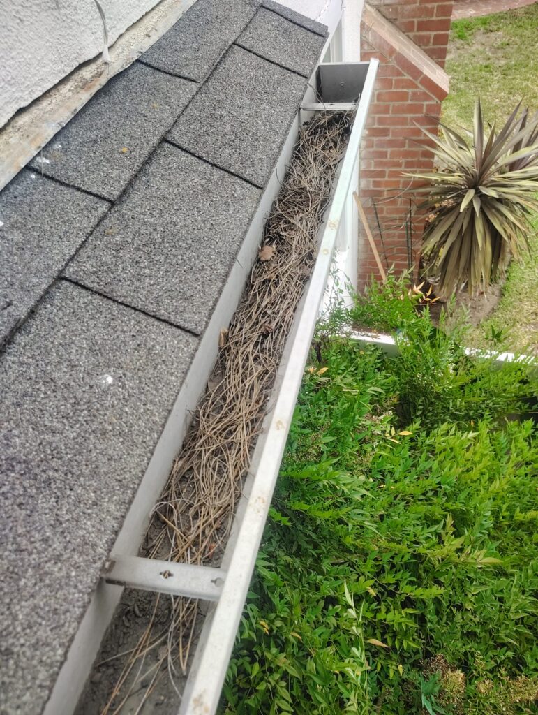 Before Gutter Cleaning in Encino, CA Before Gutter Cleaning in Encino, CA