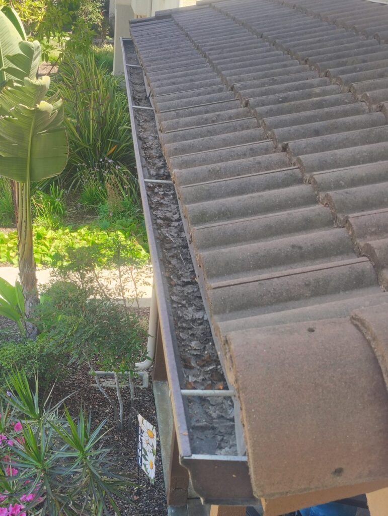 Before Gutter Cleaning in Oxnard, CA Before Gutter Cleaning in Oxnard, CA
