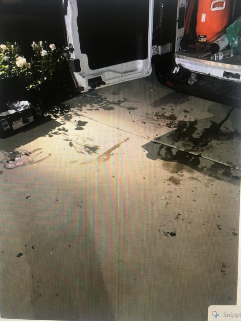 Before Driveway Cleaning in Santa Clarita, CA
