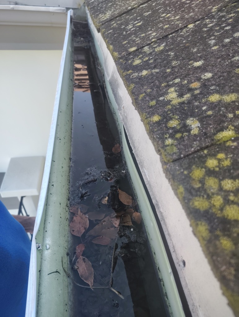 Before Gutter Cleaning in Encino, CA Before Gutter Cleaning in Encino, CA