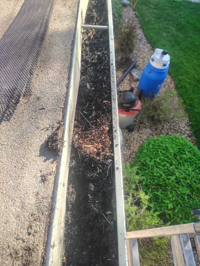 Before Gutter Cleaning in North Hills, CA